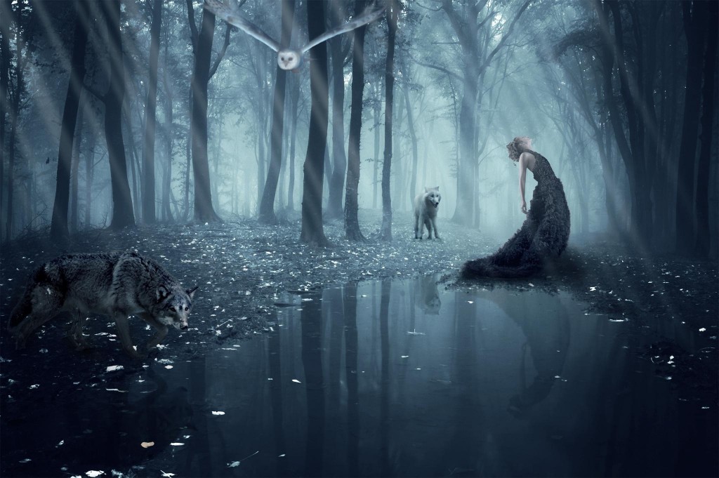 Wallpaper: Dark Fantasy Forest